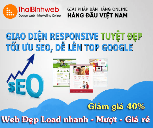 Thái Bình Web – Công Ty TNHH Công Nghệ Số Thái Bình – Thiết kế web uy tín chuyên nghiệp
