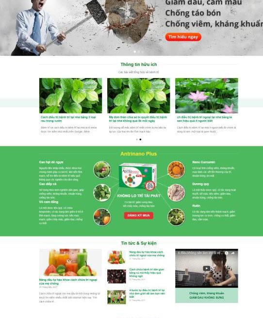 Mẫu web giới thiệu sản phẩm chất lừ