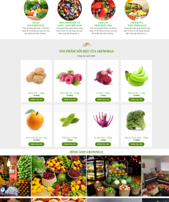 Giao diện web thực phẩm sundayfood