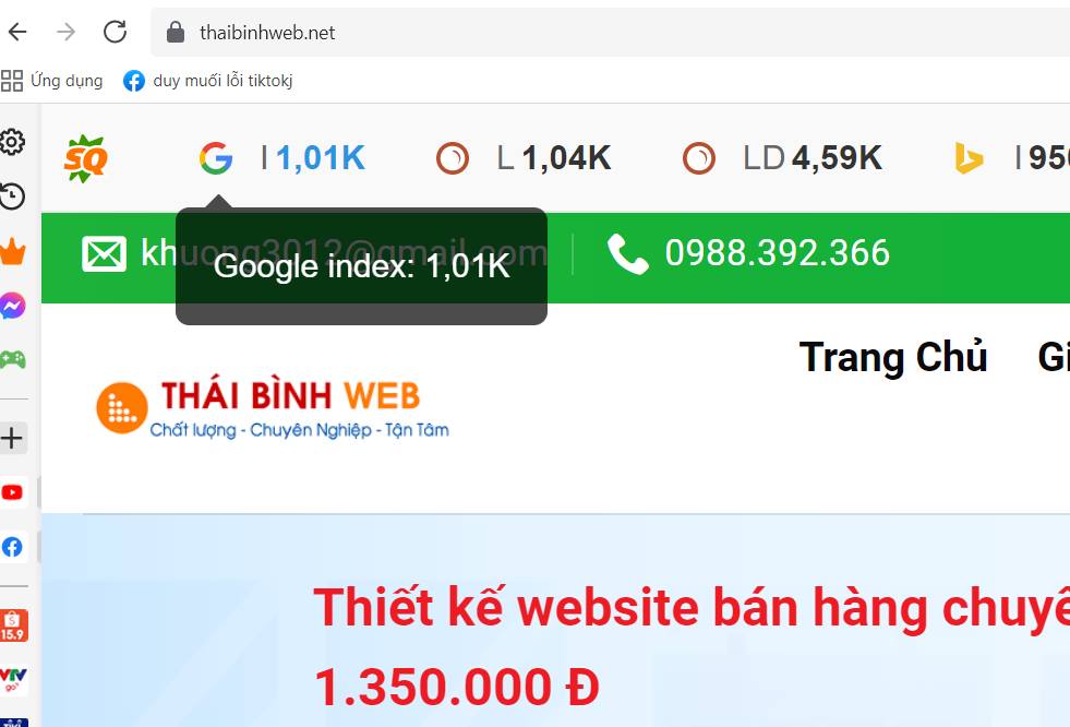 Thái Bình Web – Công Ty TNHH Công Nghệ Số Thái Bình – Thiết kế web uy tín chuyên nghiệp