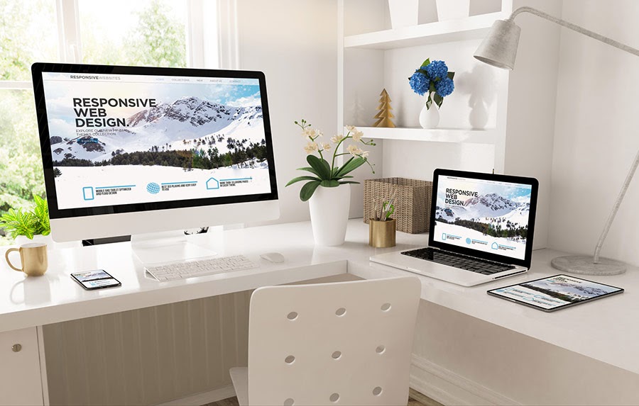 Thái Bình Web – Công Ty TNHH Công Nghệ Số Thái Bình – Thiết kế web uy tín chuyên nghiệp