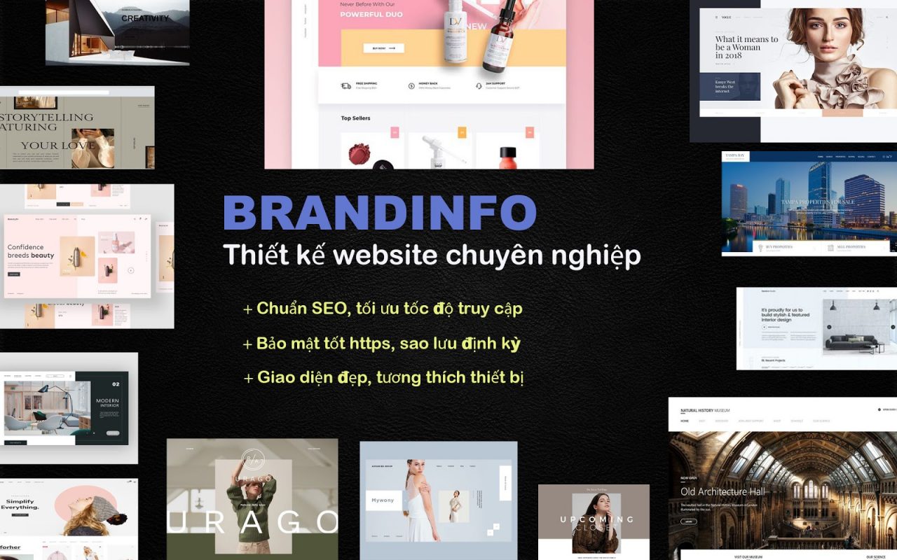 Thái Bình Web – Công Ty TNHH Công Nghệ Số Thái Bình – Thiết kế web uy tín chuyên nghiệp