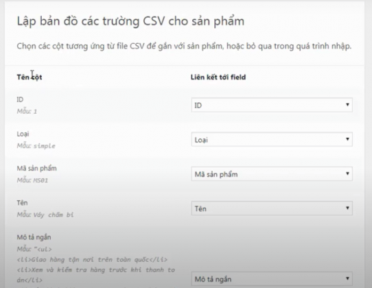 Thái Bình Web – Công Ty TNHH Công Nghệ Số Thái Bình – Thiết kế web uy tín chuyên nghiệp