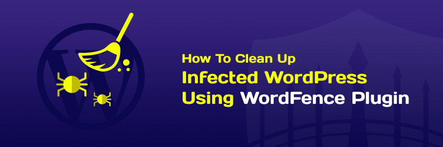 Thái Bình Web – Công Ty TNHH Công Nghệ Số Thái Bình – Thiết kế web uy tín chuyên nghiệp
