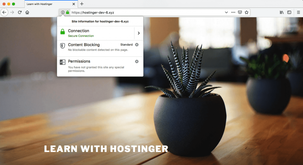 Thái Bình Web – Công Ty TNHH Công Nghệ Số Thái Bình – Thiết kế web uy tín chuyên nghiệp