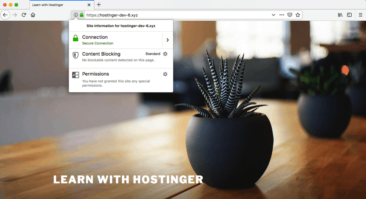 Thái Bình Web – Công Ty TNHH Công Nghệ Số Thái Bình – Thiết kế web uy tín chuyên nghiệp