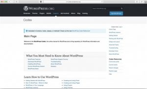 Thái Bình Web – Công Ty TNHH Công Nghệ Số Thái Bình – Thiết kế web uy tín chuyên nghiệp