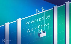 Thái Bình Web – Công Ty TNHH Công Nghệ Số Thái Bình – Thiết kế web uy tín chuyên nghiệp