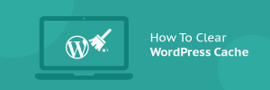Thái Bình Web – Công Ty TNHH Công Nghệ Số Thái Bình – Thiết kế web uy tín chuyên nghiệp