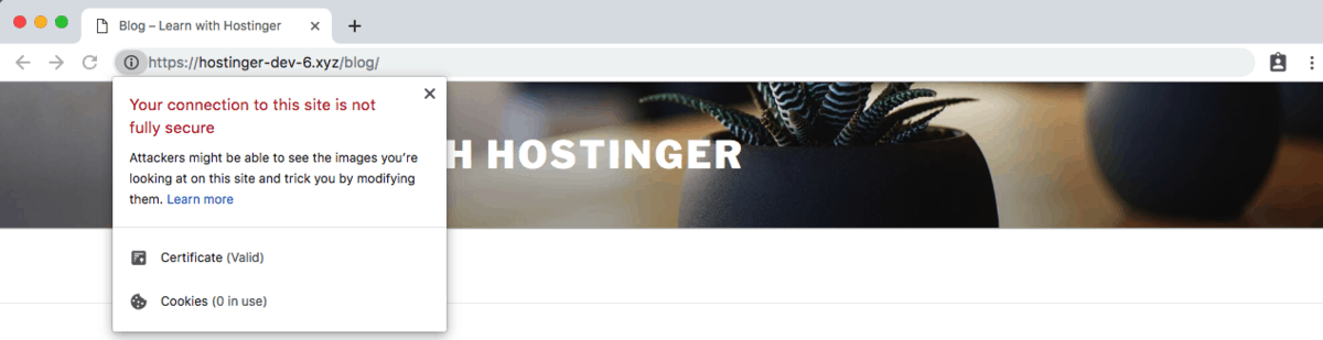 Thái Bình Web – Công Ty TNHH Công Nghệ Số Thái Bình – Thiết kế web uy tín chuyên nghiệp