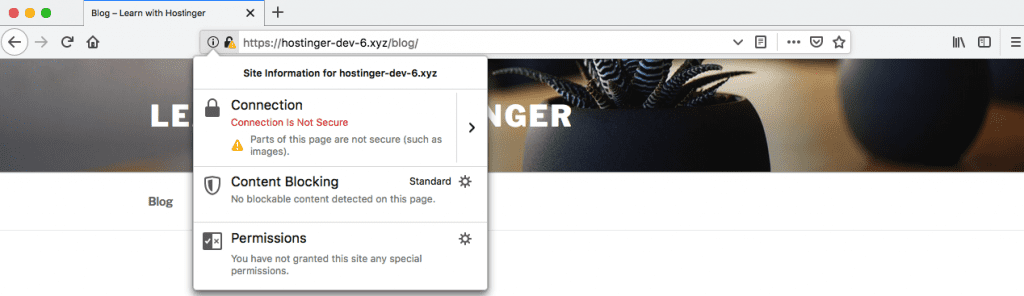 Thái Bình Web – Công Ty TNHH Công Nghệ Số Thái Bình – Thiết kế web uy tín chuyên nghiệp