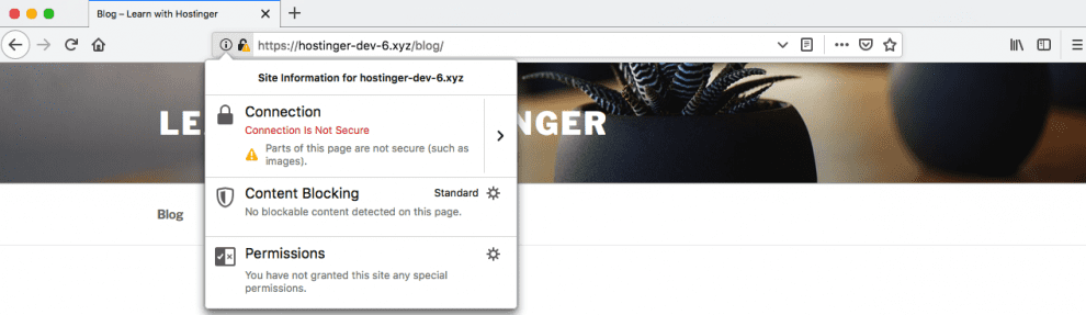 Thái Bình Web – Công Ty TNHH Công Nghệ Số Thái Bình – Thiết kế web uy tín chuyên nghiệp