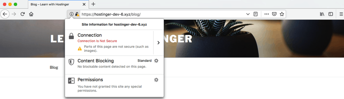 Thái Bình Web – Công Ty TNHH Công Nghệ Số Thái Bình – Thiết kế web uy tín chuyên nghiệp