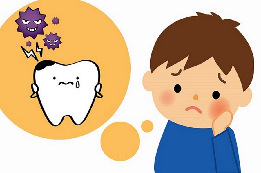 Thái Bình Web – Công Ty TNHH Công Nghệ Số Thái Bình – Thiết kế web uy tín chuyên nghiệp