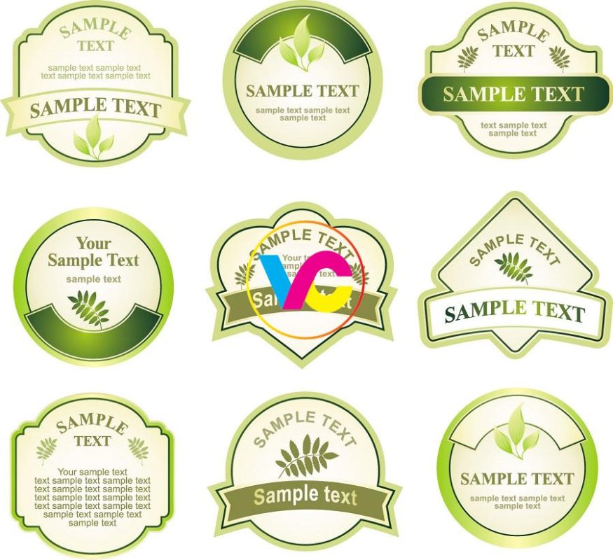 Thái Bình Web – Công Ty TNHH Công Nghệ Số Thái Bình – Thiết kế web uy tín chuyên nghiệp