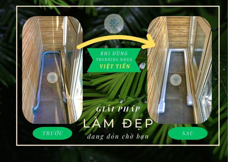 Thái Bình Web – Công Ty TNHH Công Nghệ Số Thái Bình – Thiết kế web uy tín chuyên nghiệp