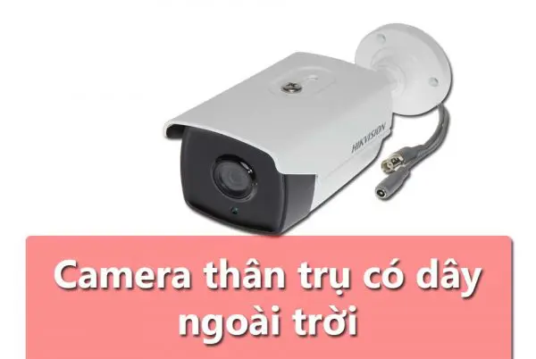 Thái Bình Web – Công Ty TNHH Công Nghệ Số Thái Bình – Thiết kế web uy tín chuyên nghiệp