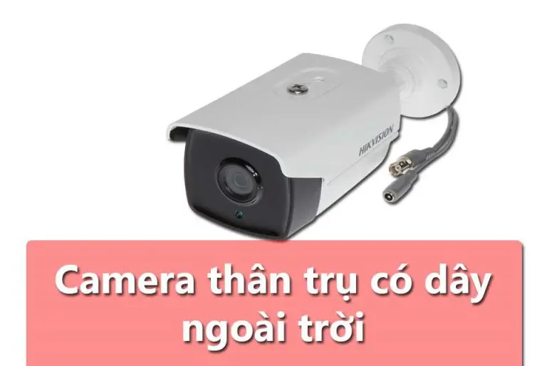 Thái Bình Web – Công Ty TNHH Công Nghệ Số Thái Bình – Thiết kế web uy tín chuyên nghiệp