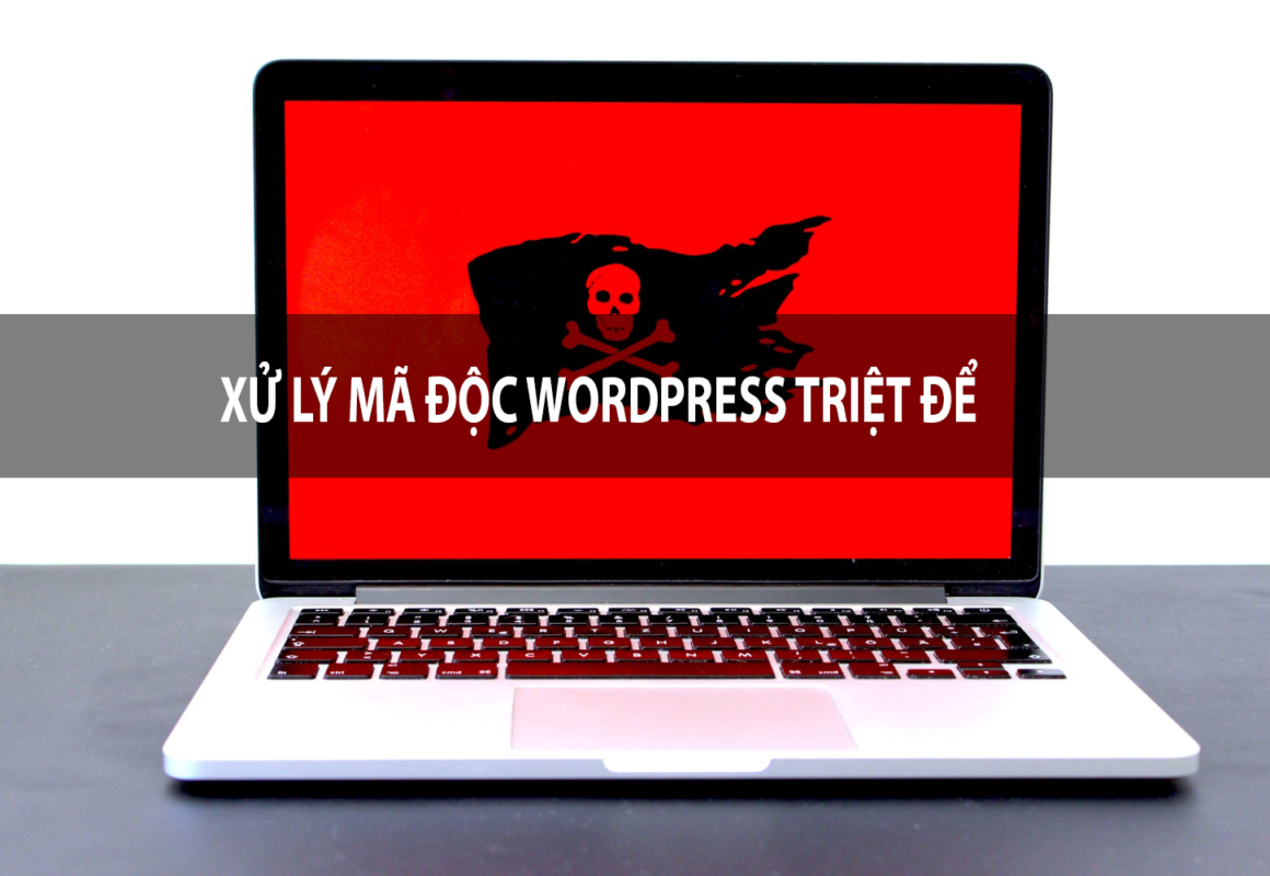 Thái Bình Web – Công Ty TNHH Công Nghệ Số Thái Bình – Thiết kế web uy tín chuyên nghiệp
