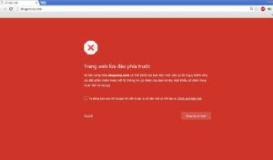 Thái Bình Web – Công Ty TNHH Công Nghệ Số Thái Bình – Thiết kế web uy tín chuyên nghiệp