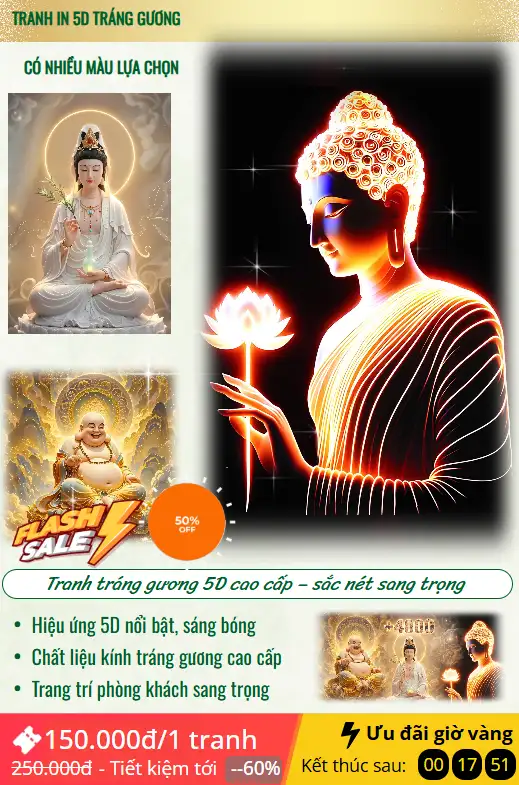 Thái Bình Web – Công Ty TNHH Công Nghệ Số Thái Bình – Thiết kế web uy tín chuyên nghiệp